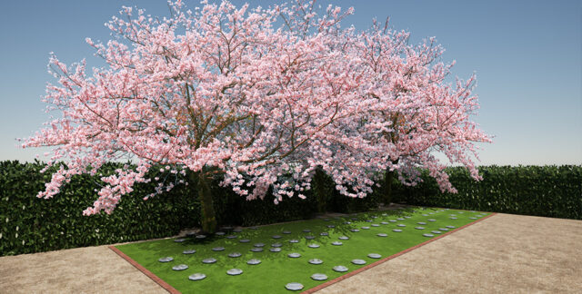 海と桜のメモリアル樹木葬 特徴