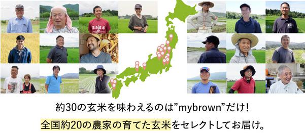 mybrown マイブラウン 特徴