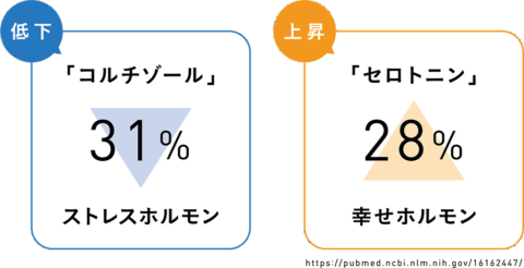 加重ブランケット 重さ