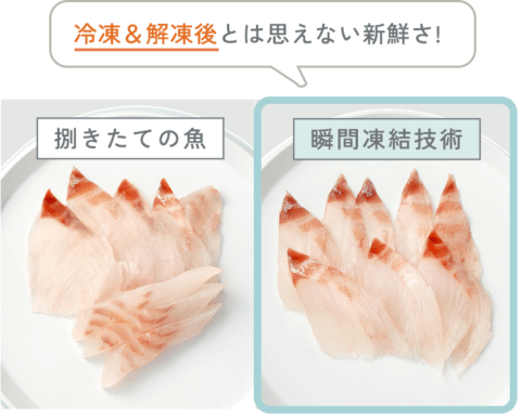 未使用魚 国産天然魚