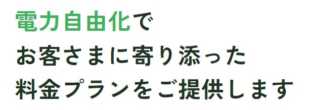 パルパワー電気 特徴