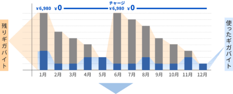 チャージ式 プリペイド式