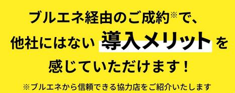 ブルエネ 特徴