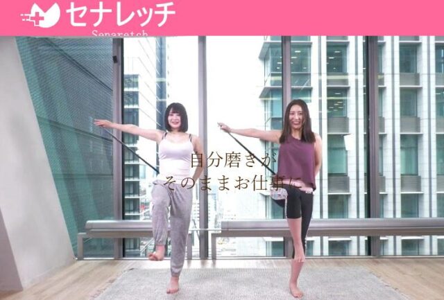 セナレッチ フランチャイズ