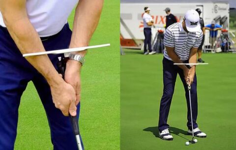 ティーパッティング