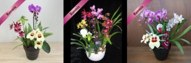 FARM BASE ランミックス 特徴