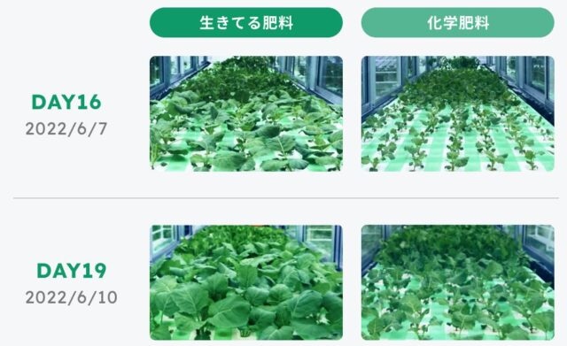 生きてる肥料 特徴