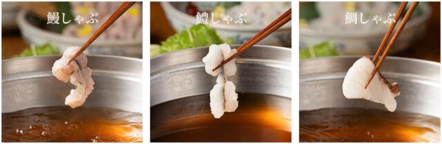 滋味六感 蓮こん 高級しゃぶしゃぶセット 特徴