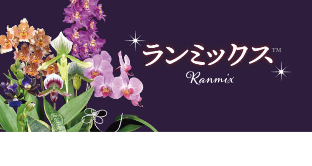 FARM BASE ランミックス