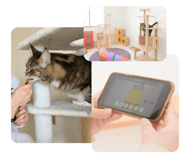 ねこべや 猫 ペットホテル 特徴