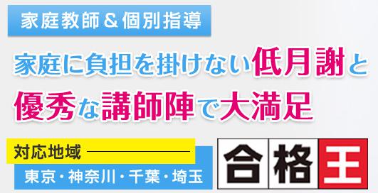 家庭教師 合格王 特徴