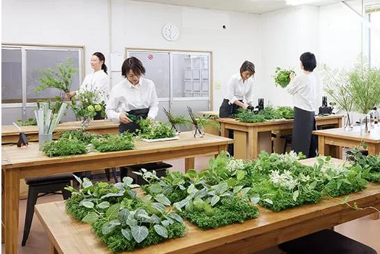 Prima プリマ オンライン 特徴