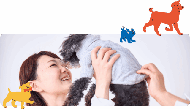 ドクターズメイド 特徴