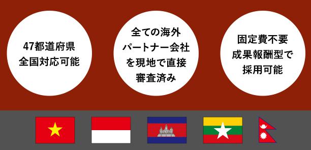 スキルディッシュ 外国人材紹介サービス 特徴
