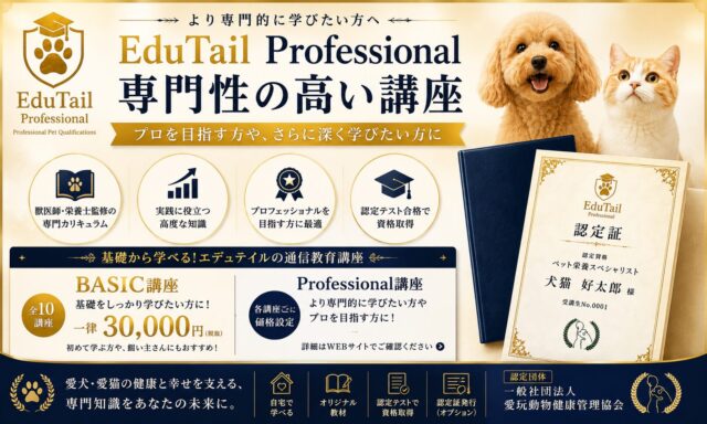 EduTail エデュテイル 特徴