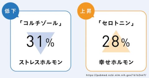 加重ブランケット