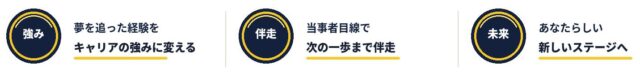 夢のあとの転職 特徴