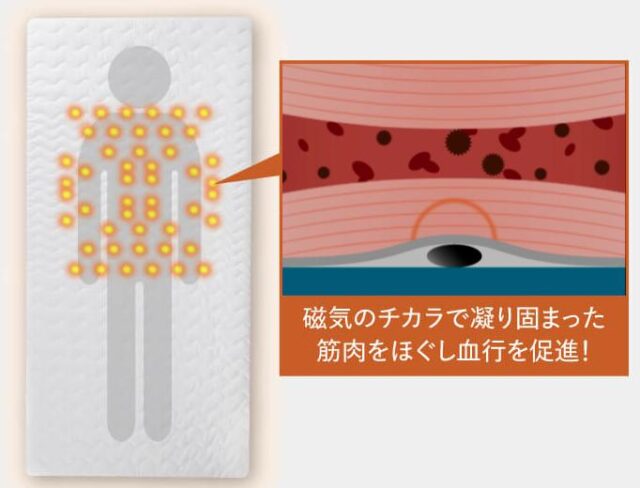 REVERIA リヴェリア 特徴