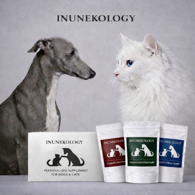 INUNEKOLOGY イヌネコロジー